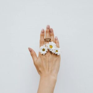 Aesthetic hand adorned with gold rings and white daisies against a minimalist white backdrop, perfect for fashion and beauty themes.