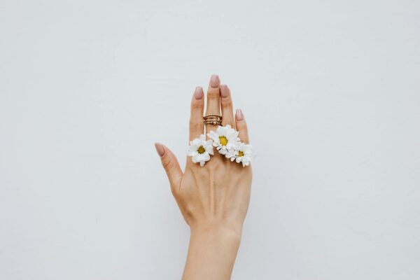 Aesthetic hand adorned with gold rings and white daisies against a minimalist white backdrop, perfect for fashion and beauty themes.